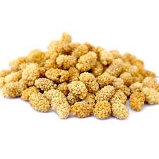 Dried White berry 400 gr- توت خشک