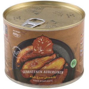 fried eggplant gilani